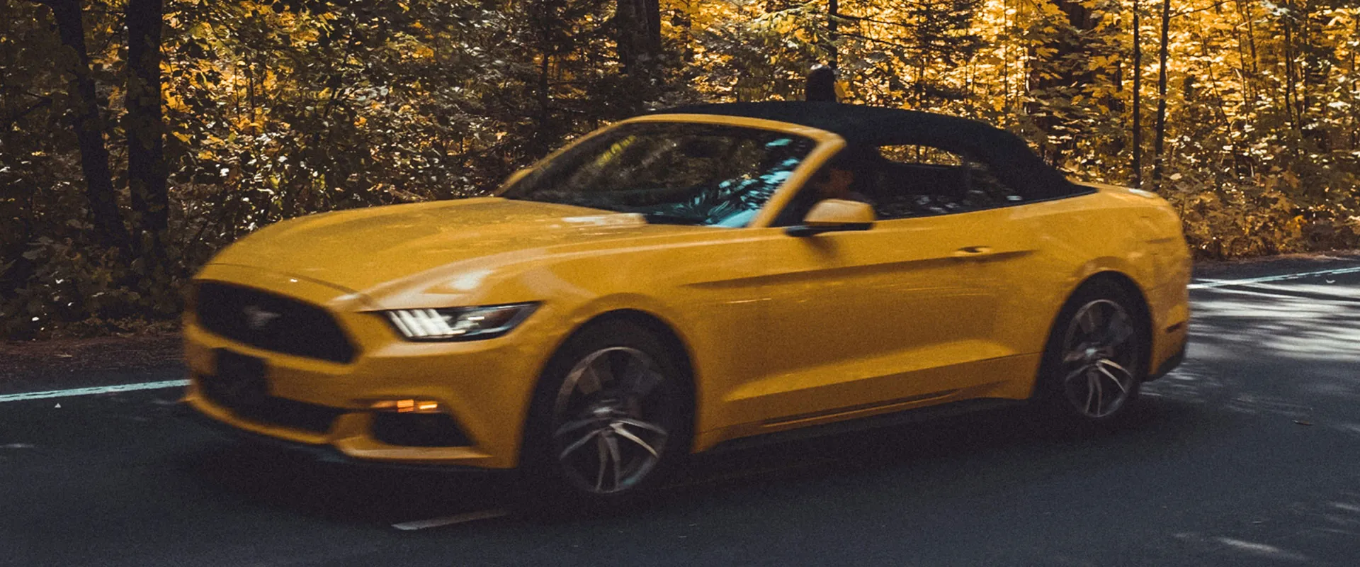 Ford Repair and Service near Canton, GA